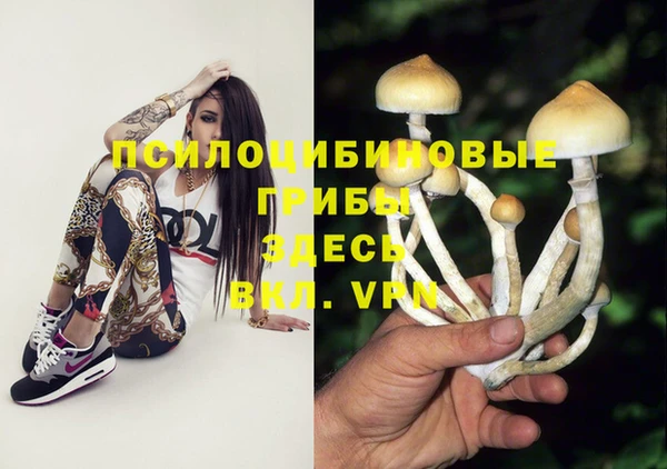 mix Алексеевка