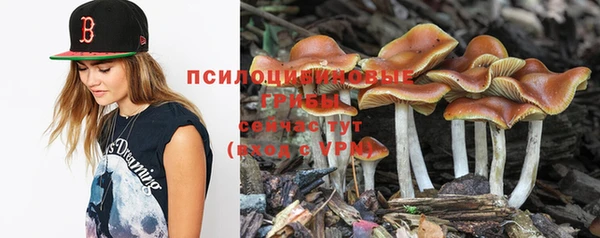 метадон Алзамай