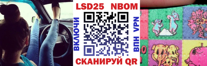 дарнет шоп Черноголовка Марки N-bome 1500мкг