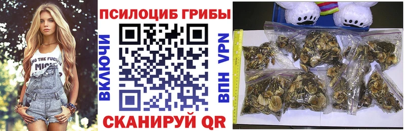 Псилоцибиновые грибы мицелий Черноголовка